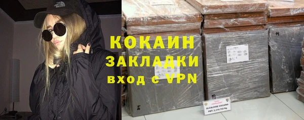 молекула духа Алексин